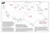bau28 victoria coast_thumb.gif